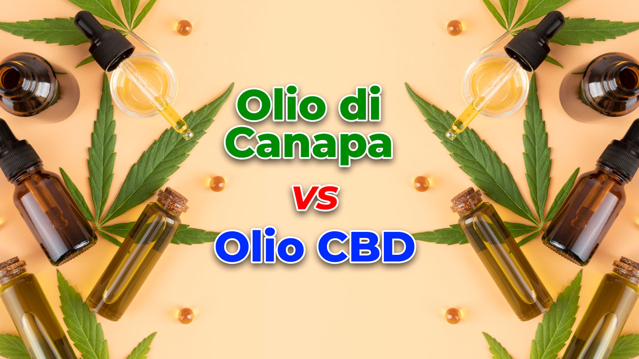 olio canapa vs olio cbd