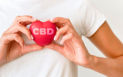 CBD e Cuore: Cosa dice la Ricerca Scientifica